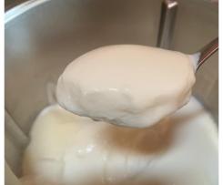 Michelle’s TM6 Yoghurt