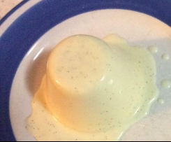 Sugar-free Vanilla Pannacotta