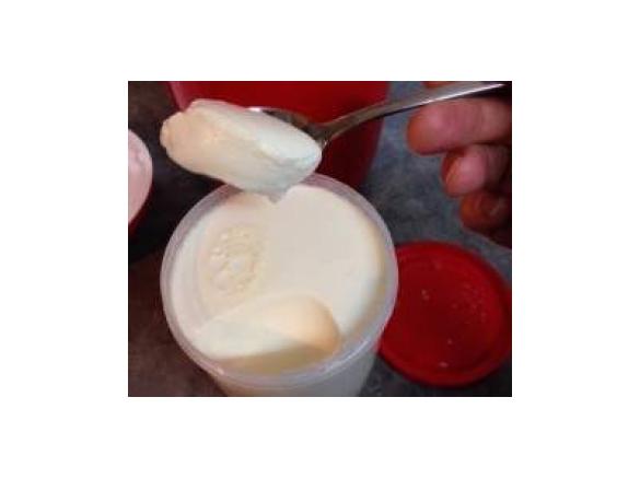 Pot Set Yoghurt - the easi way!