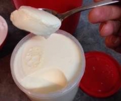 Pot Set Yoghurt - the easi way!