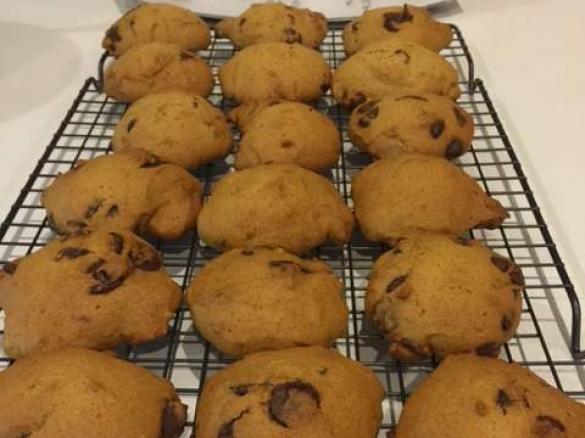 Bella's Pumpkin & Chocolate Chip Cakies
