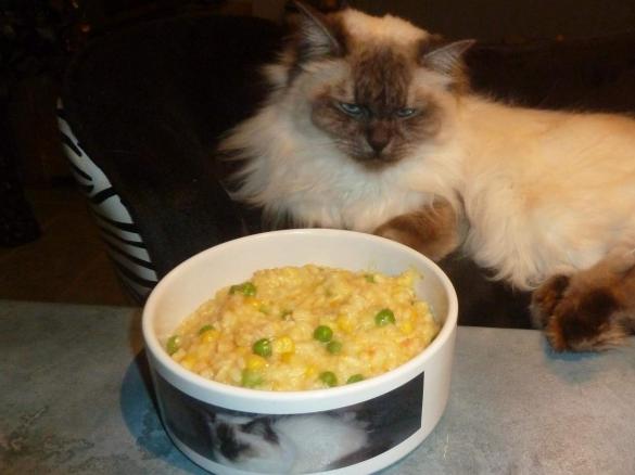 Thermo-cat Jemima - Kid Friendly Risotto