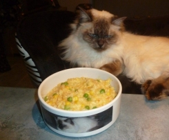 Thermo-cat Jemima - Kid Friendly Risotto