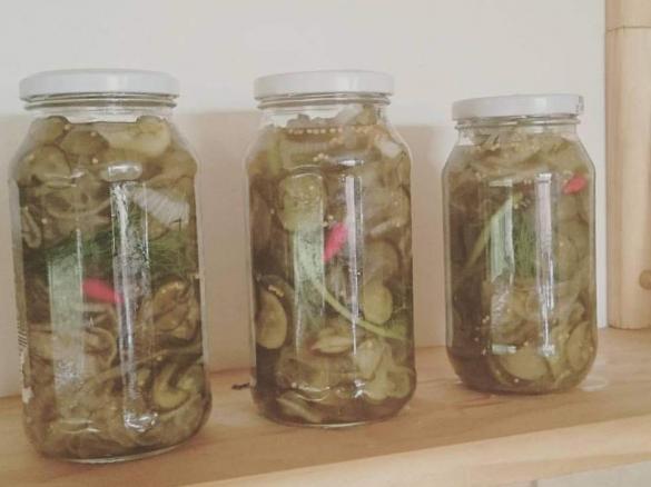  Dill-icious Pickles