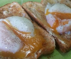 TM5 poached eggs in shell