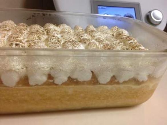 Torta Tres Leches (Three Milks Cake)