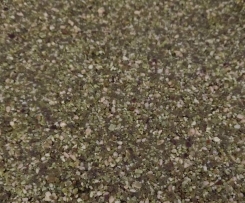 Matcha coconut slice