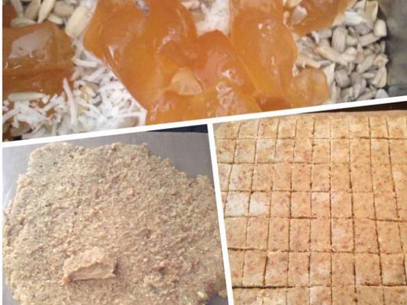 Trish's tasty raw bars for kids lunches