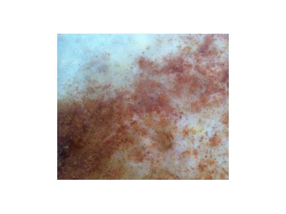 Clone of Banana, quinoa and chia porridge