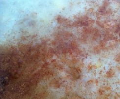 Clone of Banana, quinoa and chia porridge