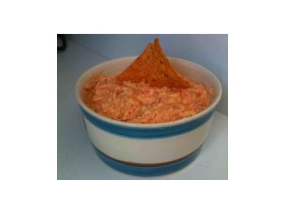 Hot Creamy Salsa Dip