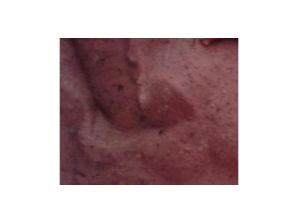 Fibers ice cream  Dream