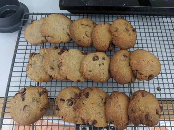 Decadent Chocolate Chip Biscuits