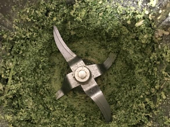 Raw cashew, Basil & Cilantro Pesto (Vegan)