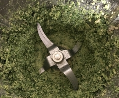 Raw cashew, Basil & Cilantro Pesto (Vegan)
