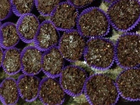 Raw Cashew Coconut Fudge