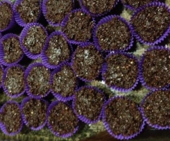 Raw Cashew Coconut Fudge