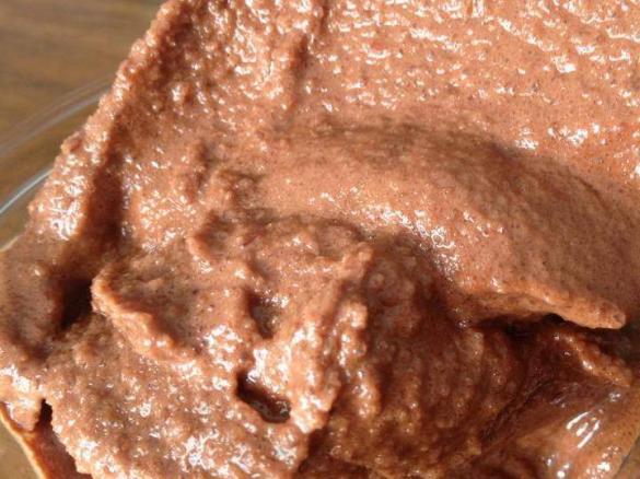 Not-Bad-For-You Instant Chocolate Ice Cream