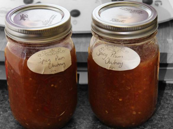 Spicy Plum Chutney