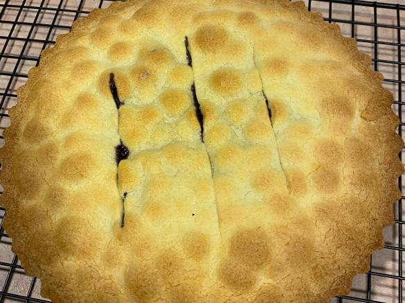 Quick blueberry (or any fruit) pie!
