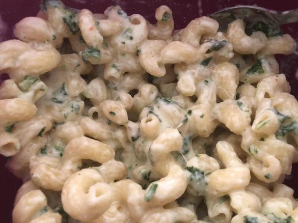 Easy Cheesey Mac and Cheese