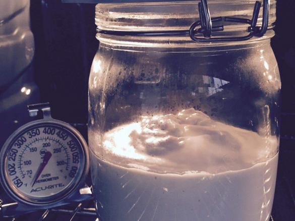 Easy & Yummy Creamy Coconut Yoghurt