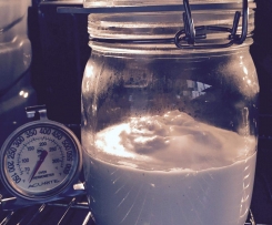 Easy & Yummy Creamy Coconut Yoghurt