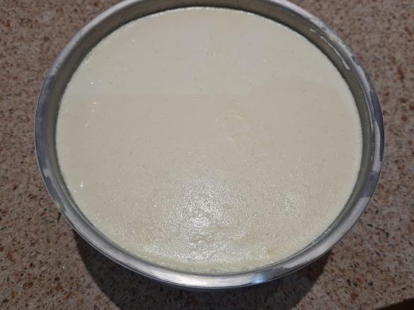 2L of Pot set Yoghurt TM6