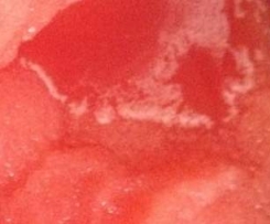 Boost juice style Watermelon Crush