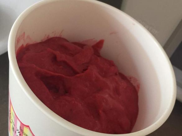 Raspberry, Lime and Coconut sorbet