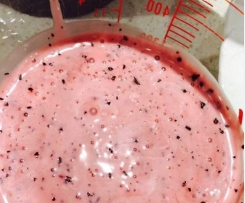 Blueberry Vinaigrette