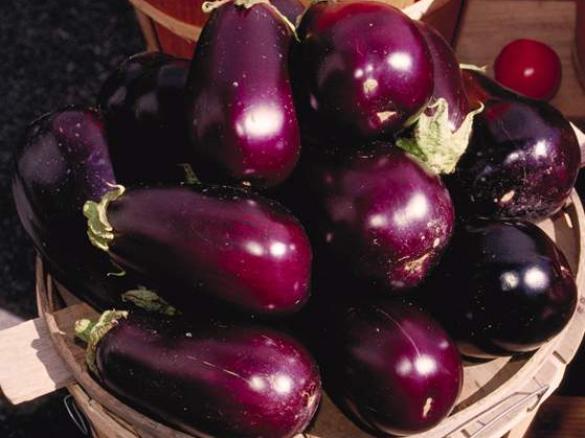Penne with Eggplant and Pinenuts