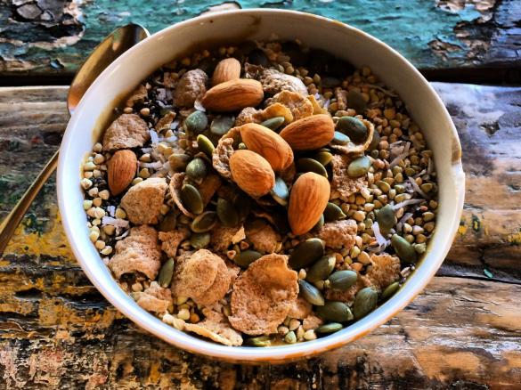 Pumpkin Pie Breakfast Smoothie (IQS/ Low fructose)