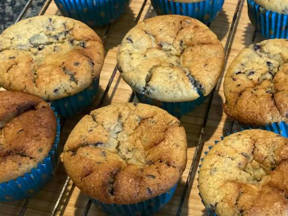 Terri's Blueberry Muffins