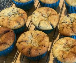 Terri's Blueberry Muffins