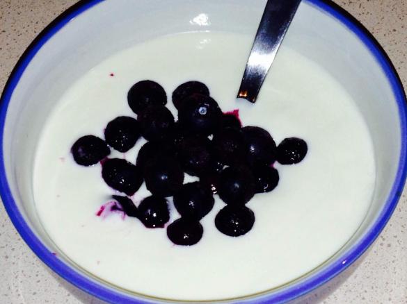 Cheats Vanilla Yoghurt