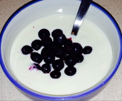 Cheats Vanilla Yoghurt