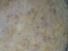 Tuna Mornay