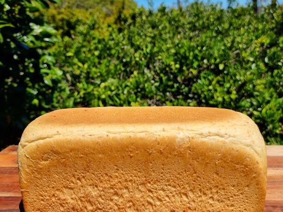 ThermoLex bread loaf