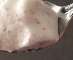 Paleo Coconut Yogurt