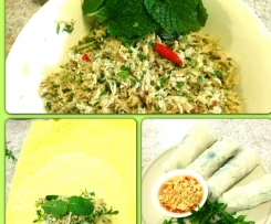 vietnamese spring rolls with dipping sauce