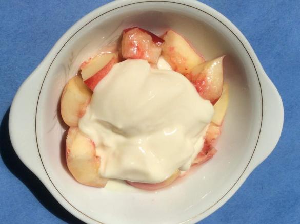 Huldah's Vanilla Yoghurt