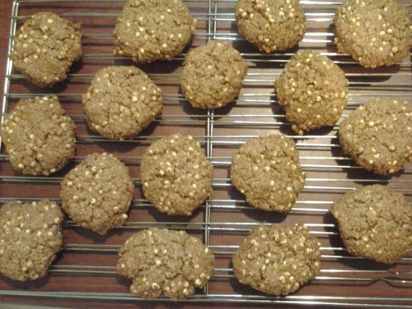 Oat Free Gluten Free ANZAC biscuits