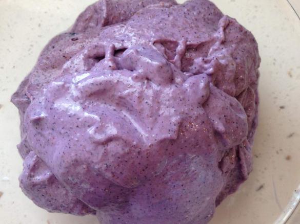 Blueberry & coconut ice cream