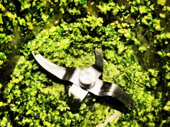 The Shrinking Hubby's Pesto