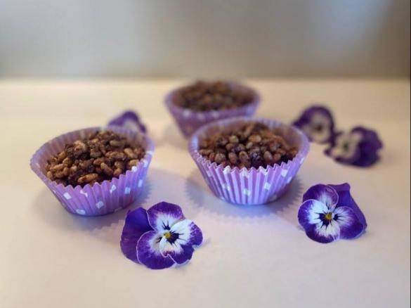 Janine's Chocolate Crackles (copha free) - Thermie and Friends