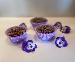 Janine's Chocolate Crackles (copha free) - Thermie and Friends