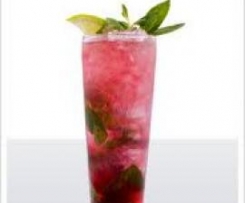 Champagne Cranberry Mojito