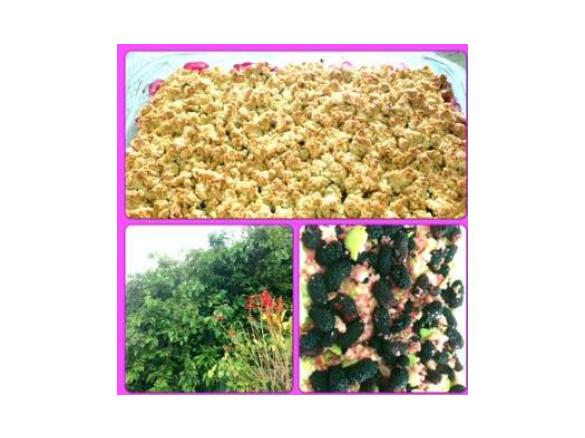 mulberry apple crumble