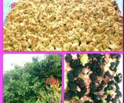 mulberry apple crumble